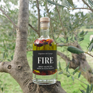 Infused Extra Virgin Olive Oils