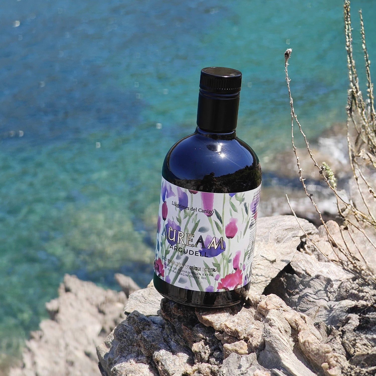 SPANISH EXTRA VIRGIN OLIVE OIL FROM THE COSTA BRAVA