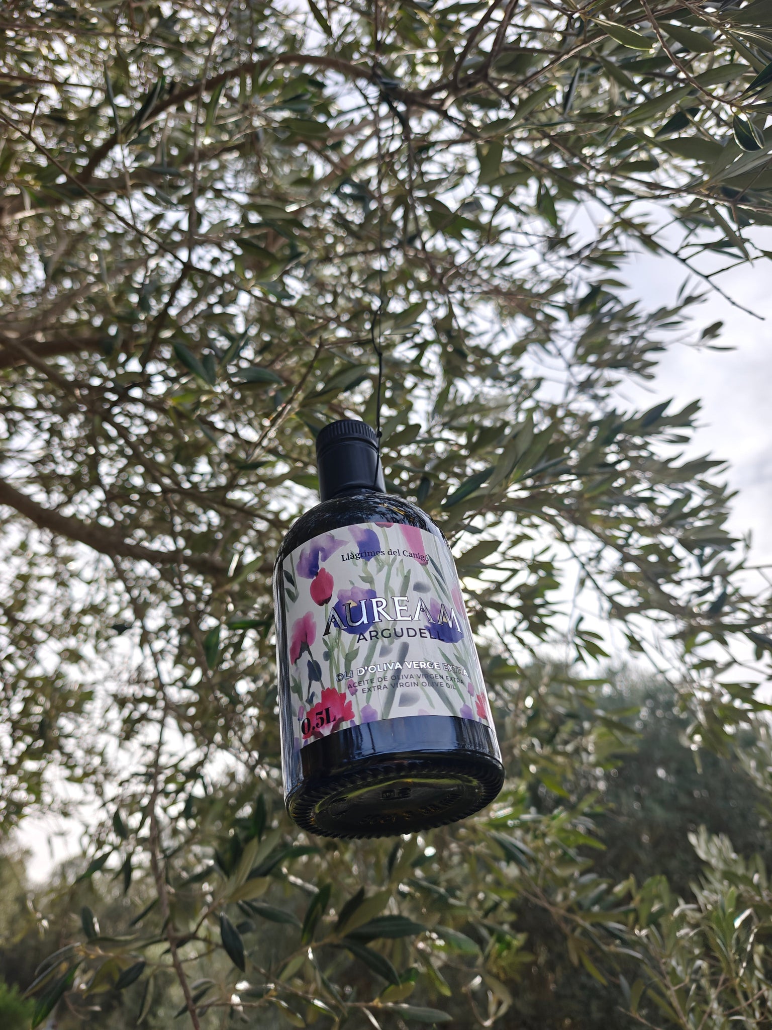 SPANISH EXTRA VIRGIN OLIVE OIL FROM THE COSTA BRAVA