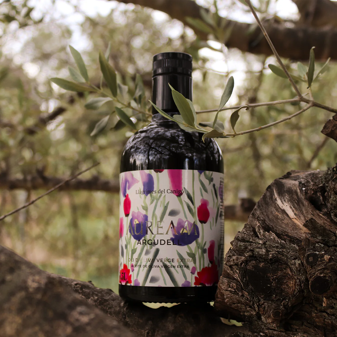 Llagrimes del Canigo Auream Argudell Extra Virgin Olive Oil 500ml