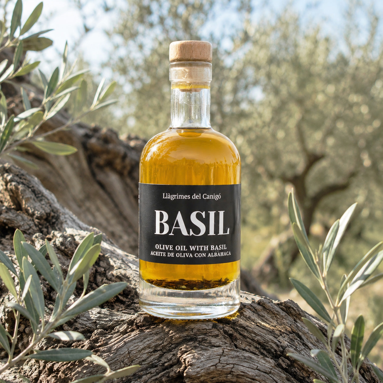 Basil Infused Extra Virgin Olive Oil – 100ml / 3.38 fl oz – Llàgrimes del Canigó