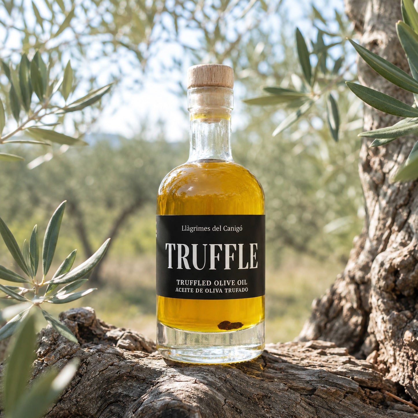 Black Truffle Infused Extra Virgin Olive Oil – 100ml / 3.38 fl oz – Llàgrimes del Canigó